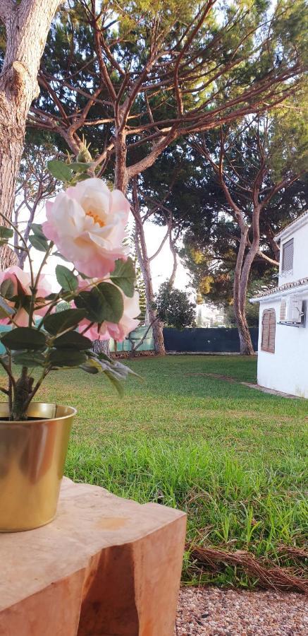 Estudio Na Falesia Albufeira Exterior photo